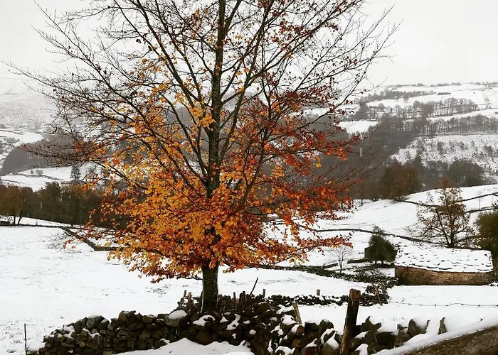 Chalet Pasiega El Ojal *