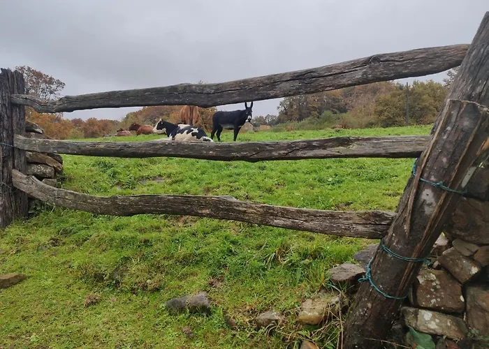 Chalé Pasiega El Ojal